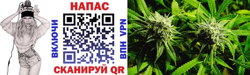 Как найти наркотики Магас Канабис Cocaine Псилоцибиновые грибы Меф мяу мяу А ПВП