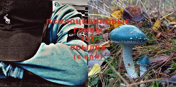 не бодяженный Беломорск